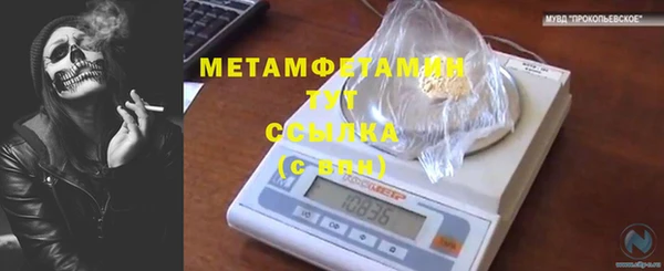 мет Алексин