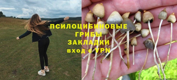 mdpv Алексеевка