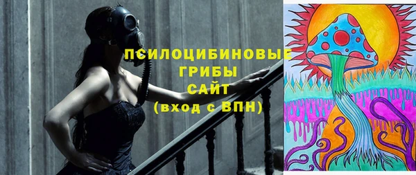 крисы Абинск
